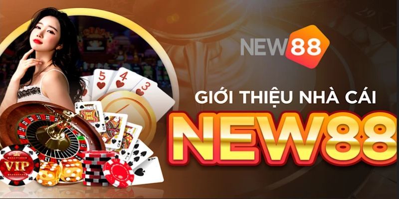 Tổng quan về nhà cái NEW88